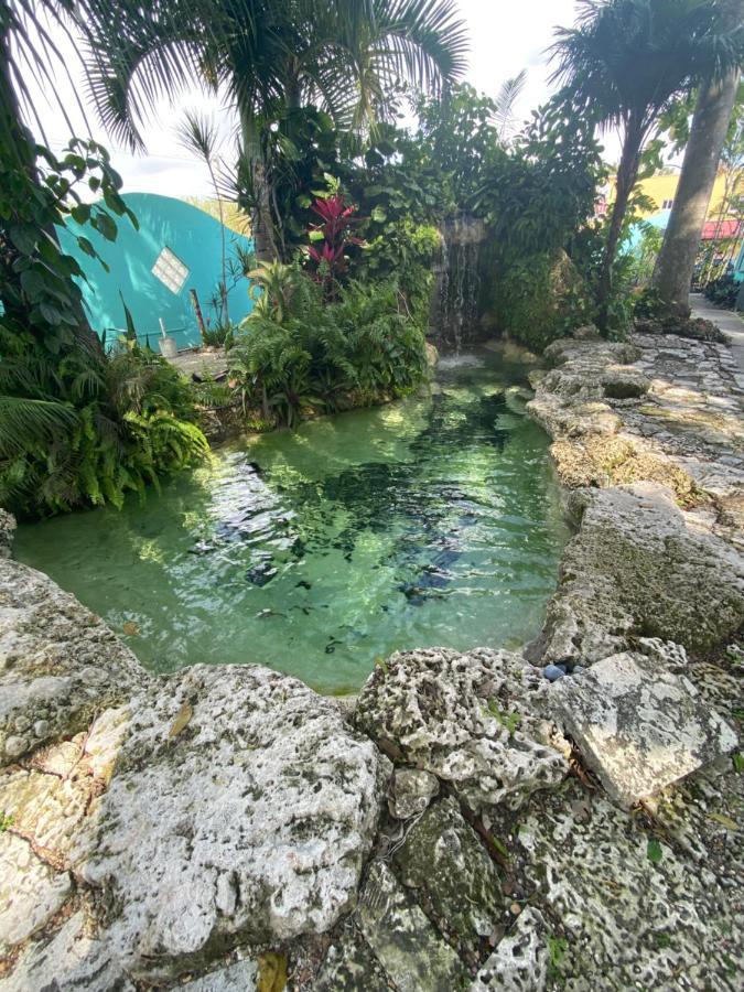 Hoosville Hostel Florida City Dış mekan fotoğraf
